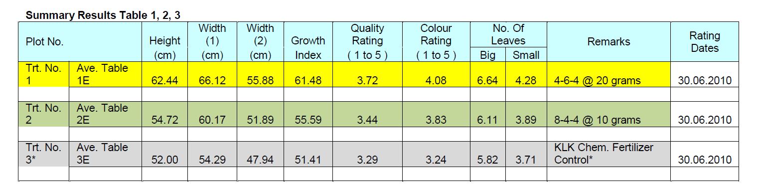 Oil Palm nursery KLK plantation