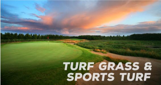 Suståne for Turf Grass & Sports Turf